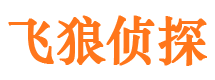 大方市婚姻调查